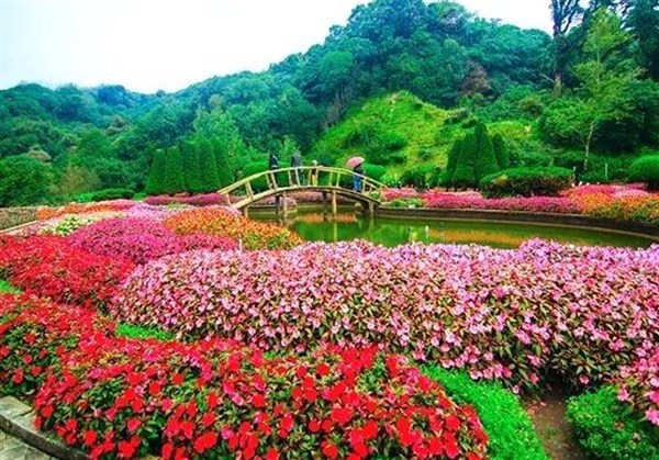 rose garden ooty best time to visit